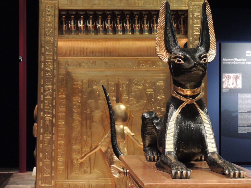 Är det sant att katter dyrkades i Egypten?